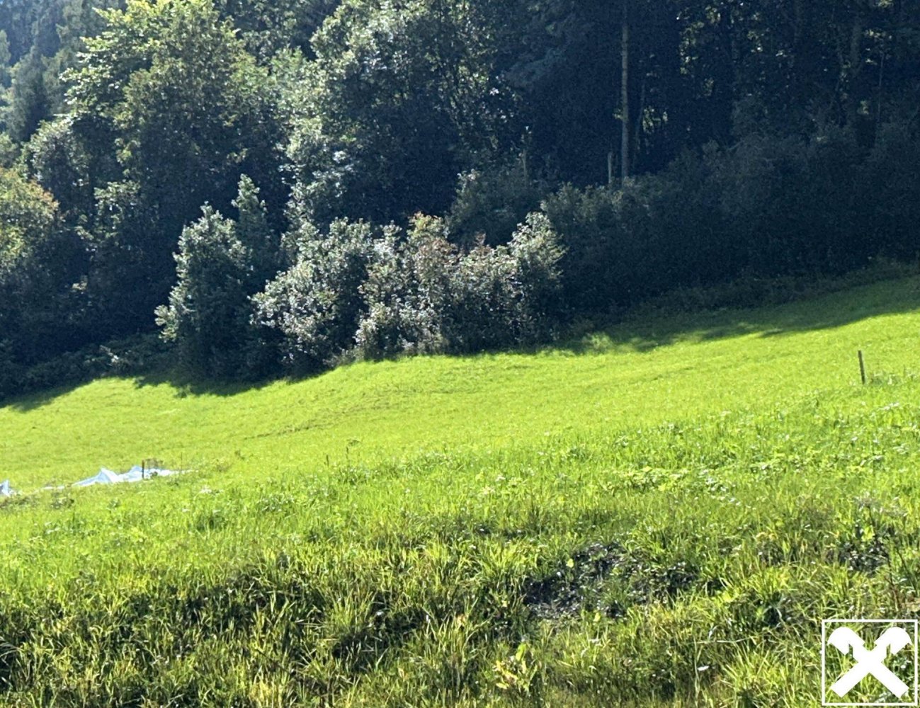 Земельный участок 1000м² в Таксенбах, Австрия № 222448