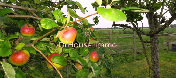 5 Schlafzimmer Haus in Laventie, France, Nr. 40547 6