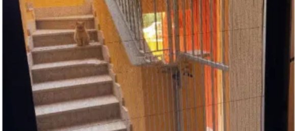 3 rooms Apartment in Castelsardo, Italy No. 173492 14