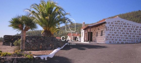 2 bedrooms House in Granadilla de Abona, Spain No. 28852 12