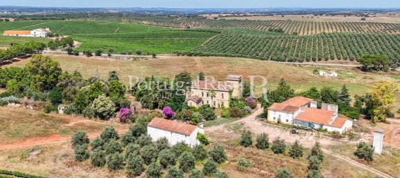 9 bedrooms Castles in Sousel, Portugal No. 87463 17