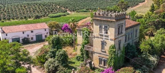 9 bedrooms Castles in Sousel, Portugal No. 87463 11