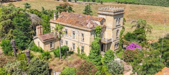 9 bedrooms Castles in Sousel, Portugal No. 87463 6