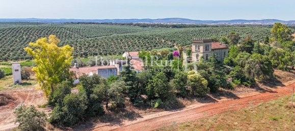 9 bedrooms Castles in Sousel, Portugal No. 87463 9