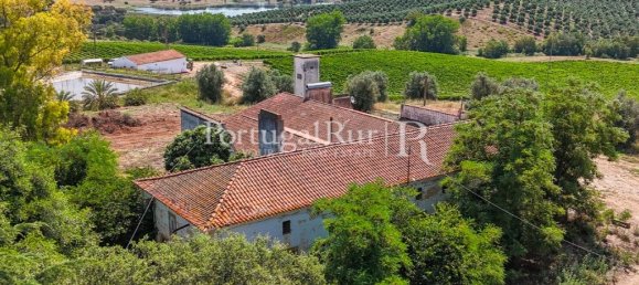 9 bedrooms Castles in Sousel, Portugal No. 87463 12