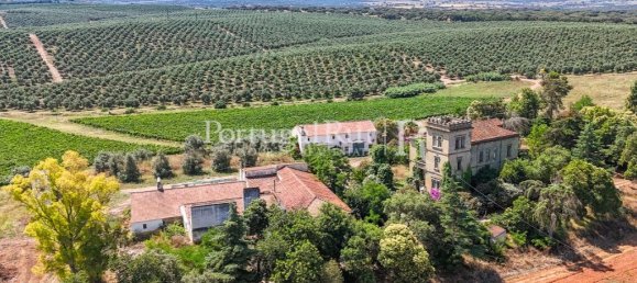 9 bedrooms Castles in Sousel, Portugal No. 87463 49