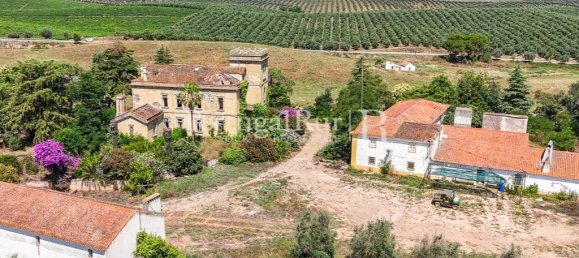 9 bedrooms Castles in Sousel, Portugal No. 87463 18