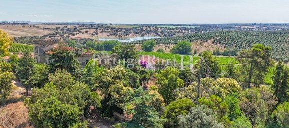 9 bedrooms Castles in Sousel, Portugal No. 87463 8