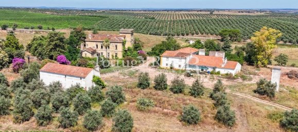 9 bedrooms Castles in Sousel, Portugal No. 87463 36