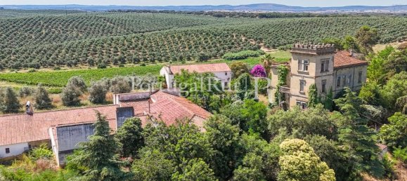 9 bedrooms Castles in Sousel, Portugal No. 87463 10