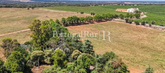 9 bedrooms Castles in Sousel, Portugal No. 87463 28