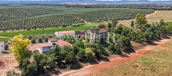 9 bedrooms Castles in Sousel, Portugal No. 87463 29