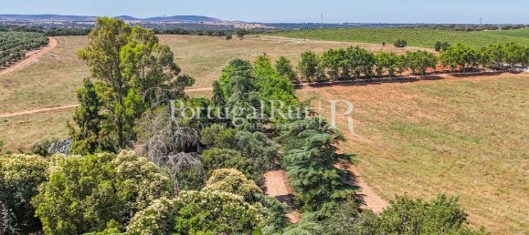 9 bedrooms Castles in Sousel, Portugal No. 87463 5