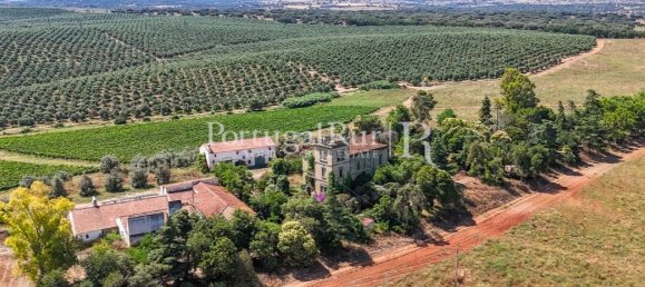9 bedrooms Castles in Sousel, Portugal No. 87463 14
