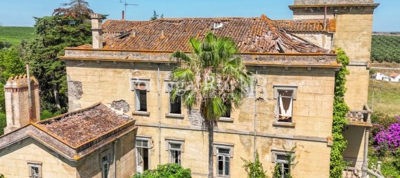 9 bedrooms Castles in Sousel, Portugal No. 87463 20