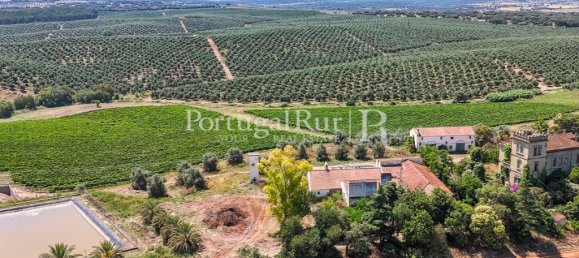 9 bedrooms Castles in Sousel, Portugal No. 87463 15