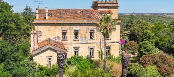 9 bedrooms Castles in Sousel, Portugal No. 87463 21