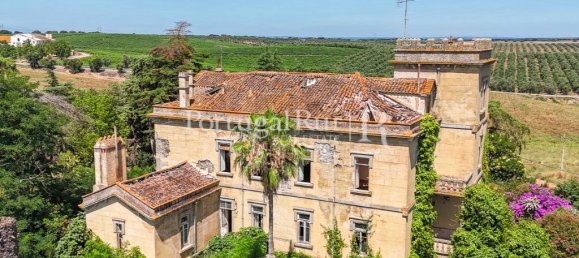 9 bedrooms Castles in Sousel, Portugal No. 87463 24