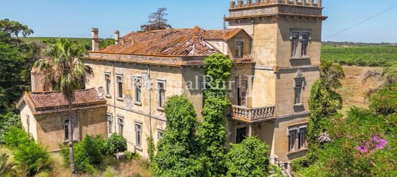 9 bedrooms Castles in Sousel, Portugal No. 87463 25