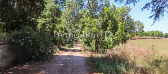 9 bedrooms Castles in Sousel, Portugal No. 87463 35