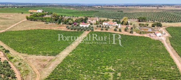 9 bedrooms Castles in Sousel, Portugal No. 87463 16