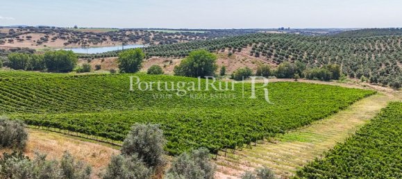 9 bedrooms Castles in Sousel, Portugal No. 87463 22