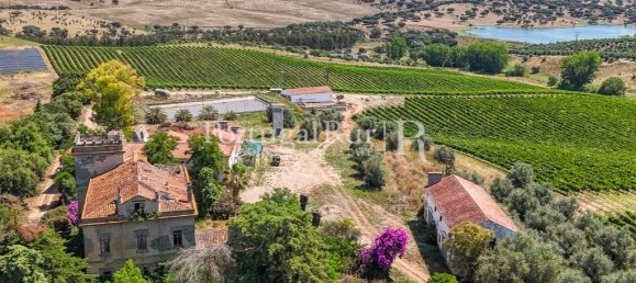 9 bedrooms Castles in Sousel, Portugal No. 87463 33