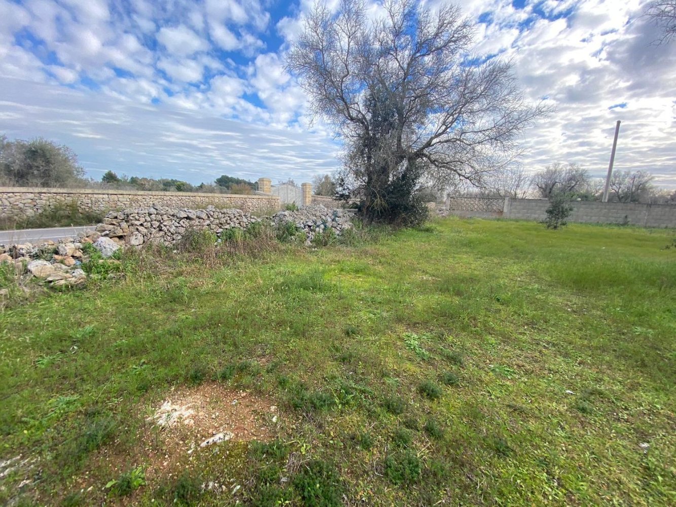  قطعة أرض في Maglie, Italy 2960متر مربع رقم 105453