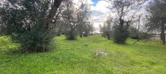  قطعة أرض في Maglie, Italy 2960متر مربع رقم 105453 2