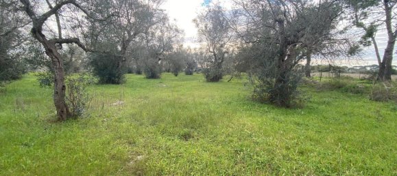  قطعة أرض في Maglie, Italy 2960متر مربع رقم 105453 3