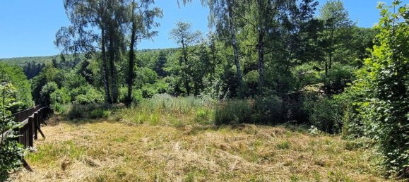 5-Zimmer Haus in Pressbaum, Austria, Nr. 143108 18