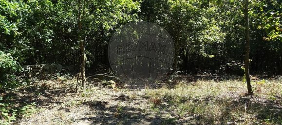 3556m² Land in Vila Verde, Portugal No. 35430 3