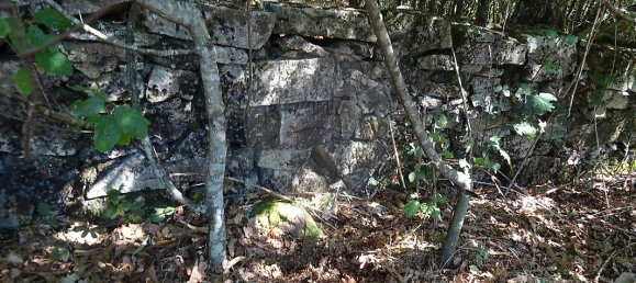 3556m² Land in Vila Verde, Portugal No. 35430 2