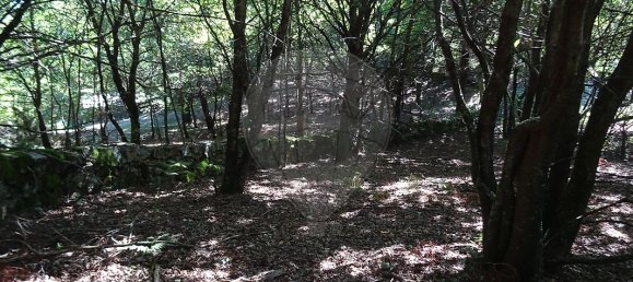 3556m² Land in Vila Verde, Portugal No. 35430 4