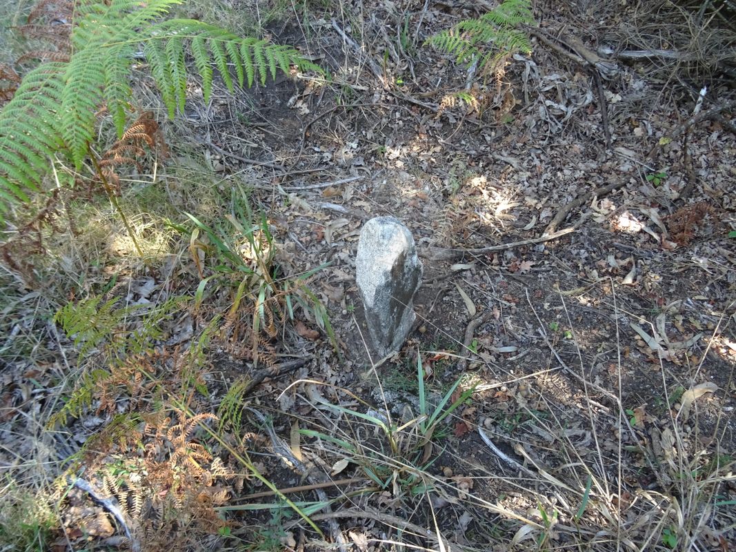 3556m² Land in Vila Verde, Portugal No. 35430