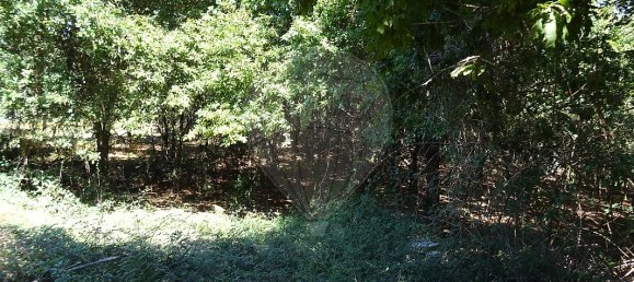 3556m² Land in Vila Verde, Portugal No. 35430 5