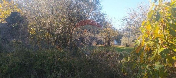 1 bedroom House in Alvaiazere, Portugal No. 21623 3