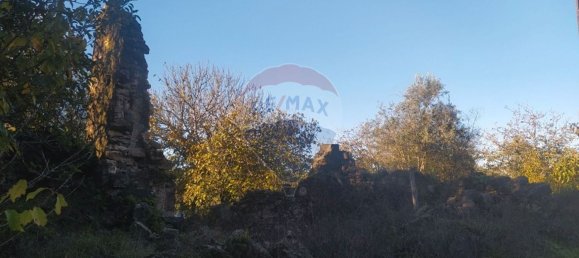 1 bedroom House in Alvaiazere, Portugal No. 21623 6