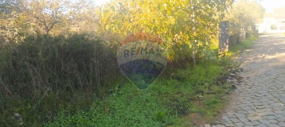 1 bedroom House in Alvaiazere, Portugal No. 21623 5