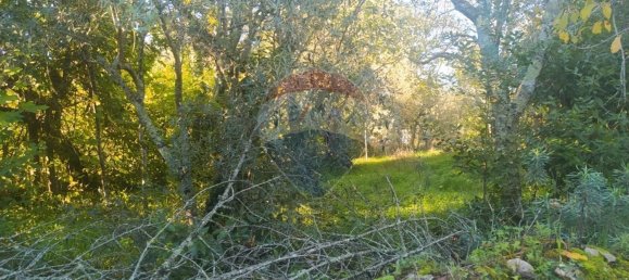 1 bedroom House in Alvaiazere, Portugal No. 21623 7