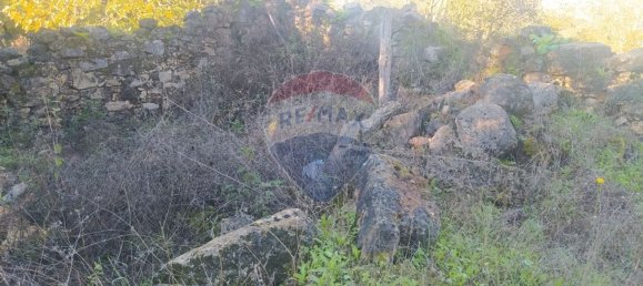 1 bedroom House in Alvaiazere, Portugal No. 21623 2