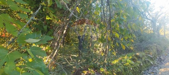 1 bedroom House in Alvaiazere, Portugal No. 21623 8