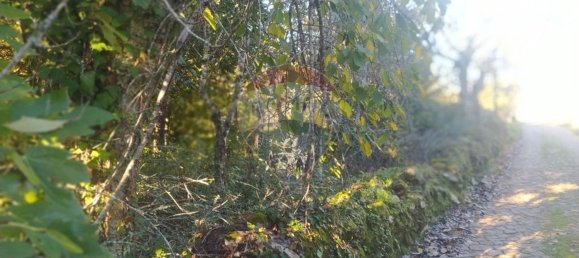 1 bedroom House in Alvaiazere, Portugal No. 21623 9