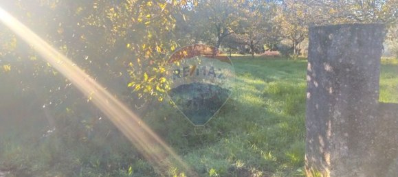 1 bedroom House in Alvaiazere, Portugal No. 21623 4