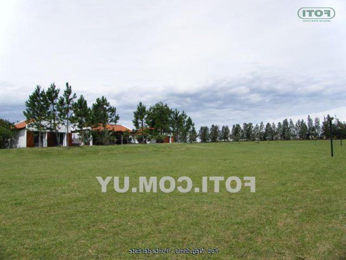 4 Schlafzimmer Haus in Maldonado, Uruguay, Nr. 279