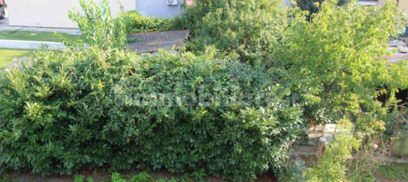 Вилла с 3 спальнями в Порто Виро, Италия № 351121 6