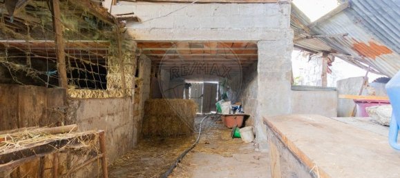 12 bedrooms House in Braga, Portugal No. 37391 11