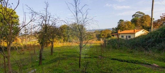 12 bedrooms House in Braga, Portugal No. 37391 15