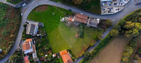 12 bedrooms House in Braga, Portugal No. 37391 8