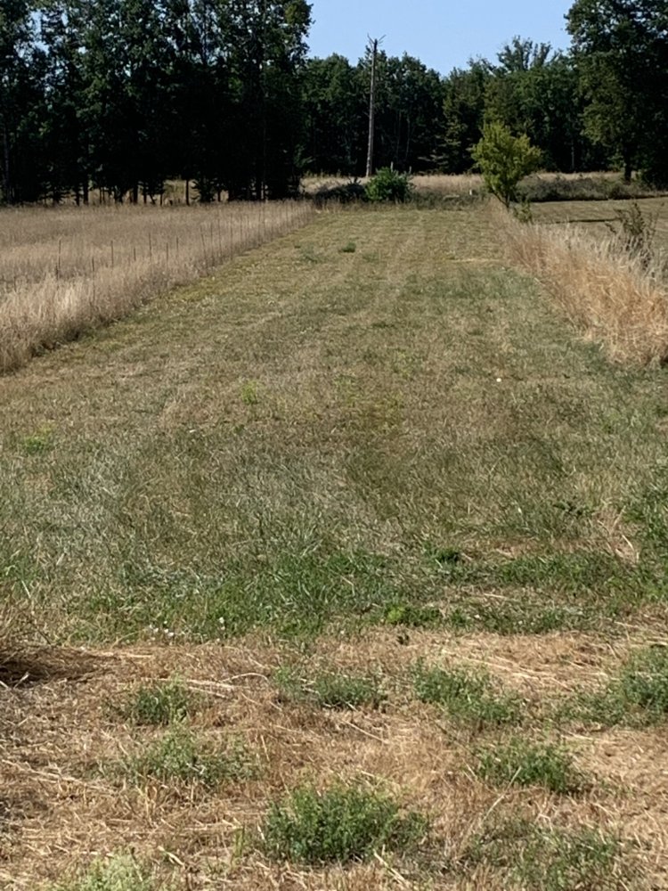  Land in Grundviller, France No. 351258